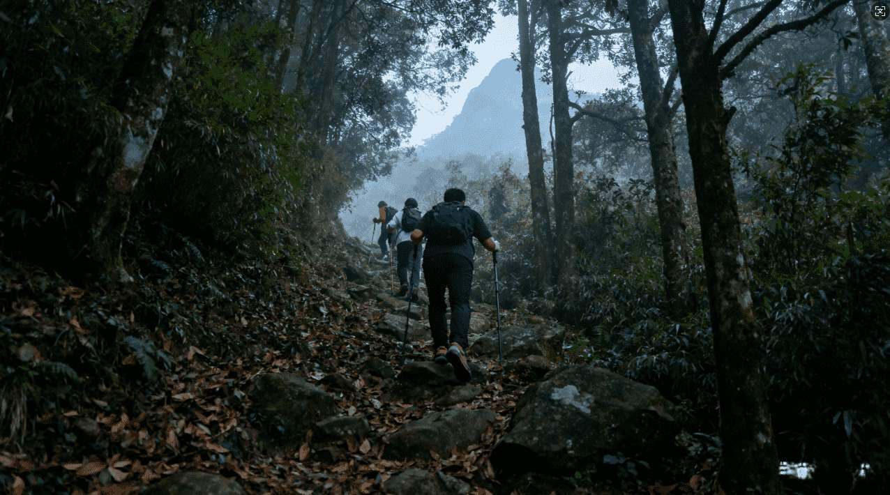 提升佛跳墙下载速度的实用加速器软件推荐与使用技巧